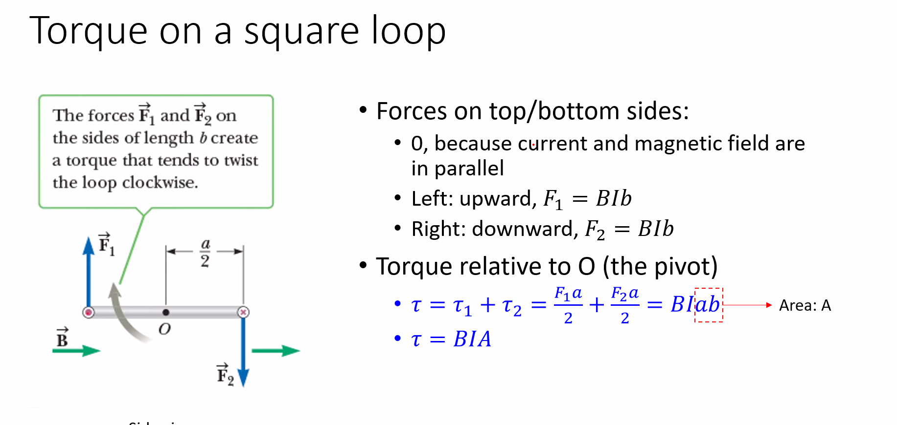 Opposite magnetic forces on the sides of a rectangular current loop forming a torque about its center